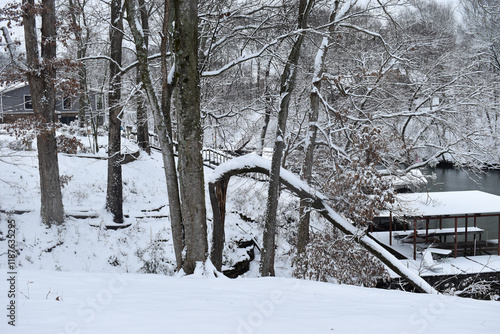 snow covered fallen tree