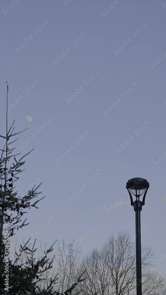 Daytime moon with a lamp post and evergreen tree, 4K Daytime moon with a lamp post and evergreen tree, 4K