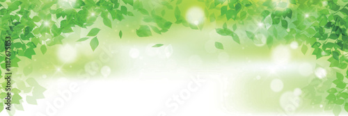 新緑　葉　風景　背景