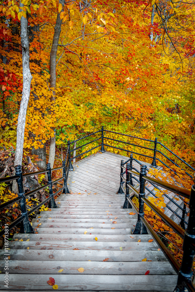 Naklejka premium path in autumn park