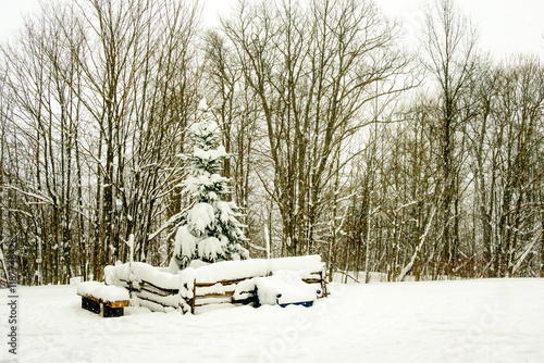 Snow covered wooden bench in woods in winter with falling snow shot on the Niagara Escarpment at Highlands Nordic room for text photo