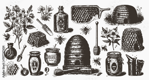 vector set of Bee, honey, hive, beekeeping illustration, drawing, engraving, line art, vector
