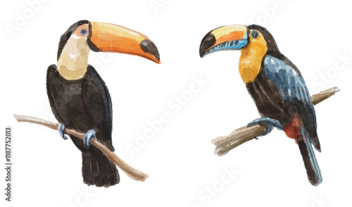 Watercolor set with toucan bird for logo, invitations and more