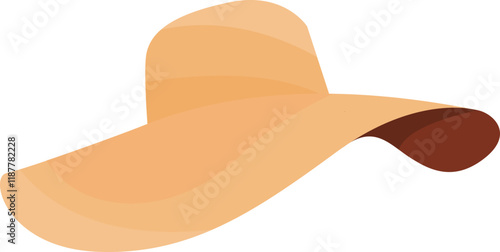 Colorful Sun hat Sombrero Illustration