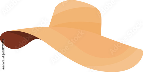 Colorful Sun hat Sombrero Illustration
