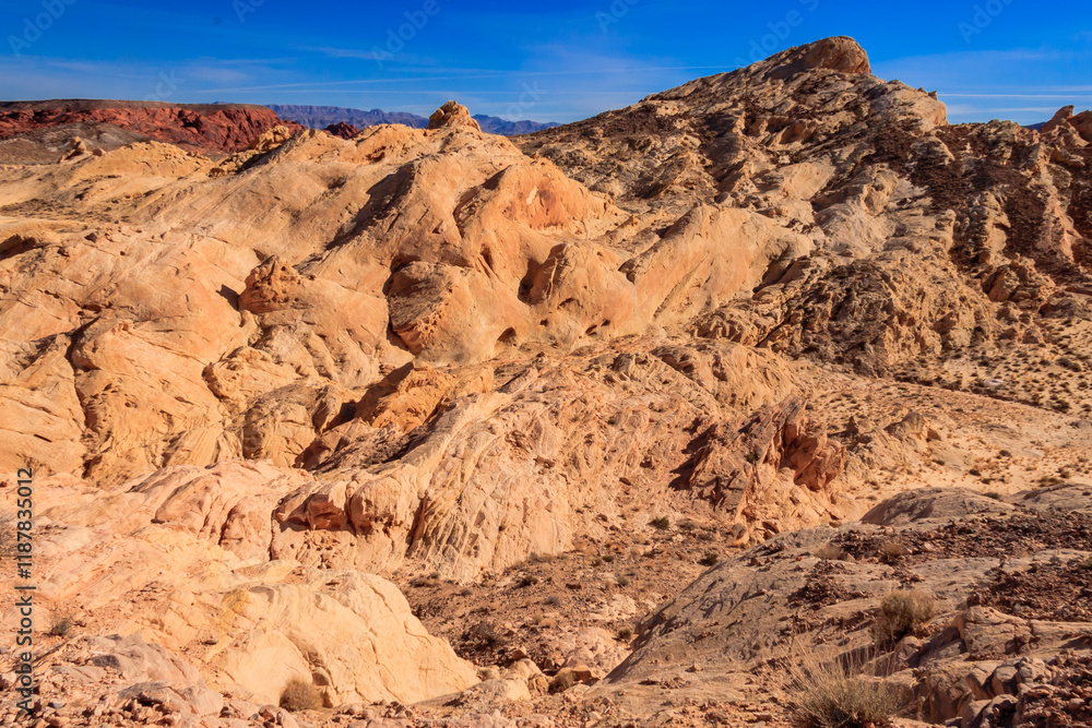 Fototapeta premium The Valley of Fire