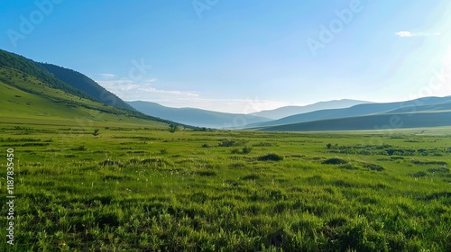 Immerse in the Grandeur: Grassland Natural Background Pictures