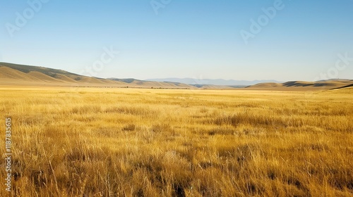 Immerse in the Grandeur: Grassland Natural Background Pictures