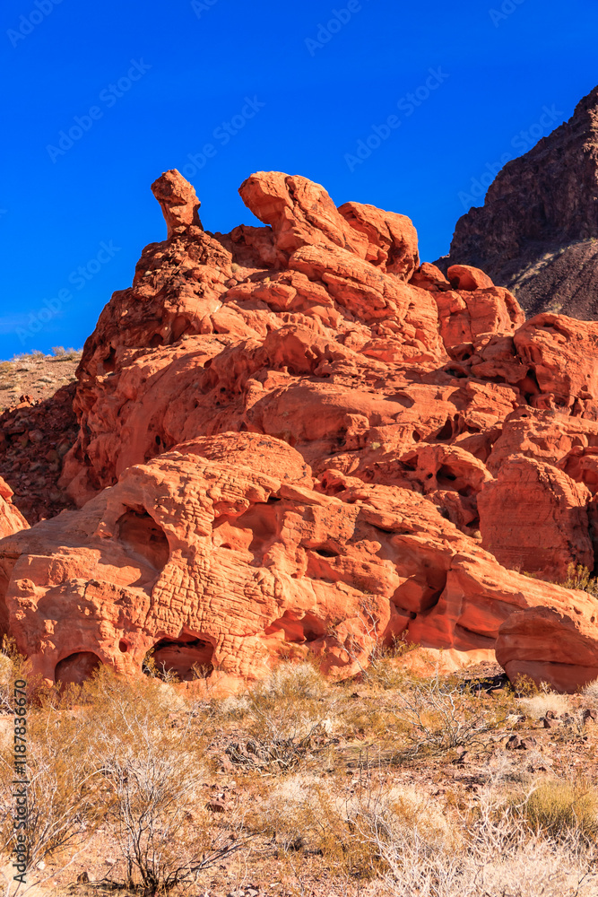 Fototapeta premium The Valley of Fire