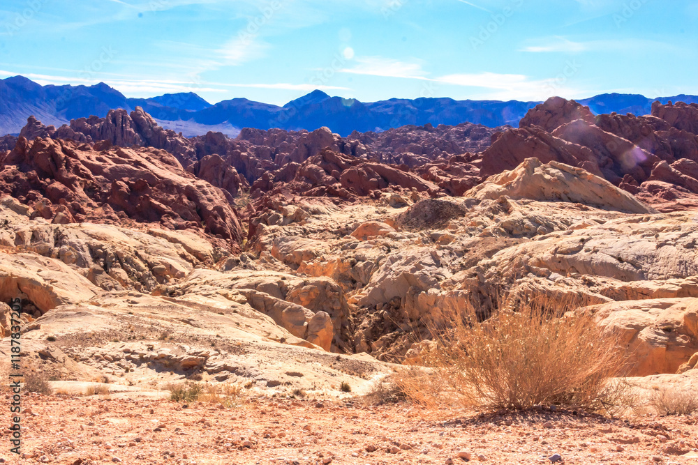 Naklejka premium The Valley of Fire
