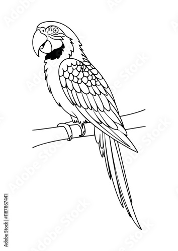colouring_book_parrot.eps