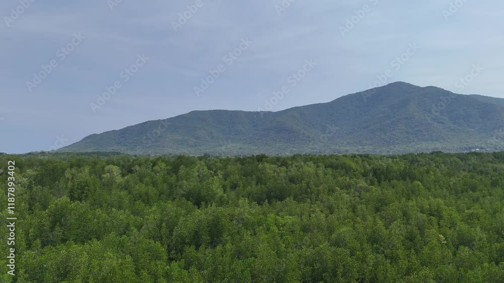 Aerial Mangrove in Karmunjawa Island, Mangrove forest also functions as a barrier to coastal erosion, as well as a breakwater for the sea. Aerial Mangrove in Karmunjawa Island, Mangrove forest also functions as a barrier to coastal erosion, as well as a breakwater for the sea.