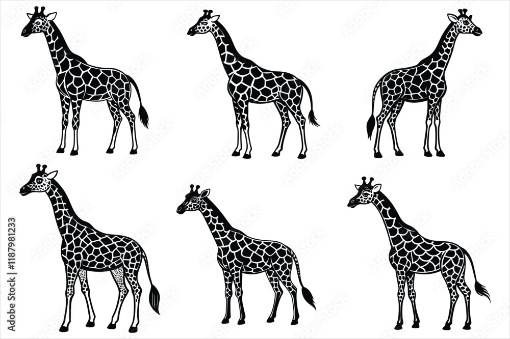 Obraz premium create tall and colorful elegant giraffe vector