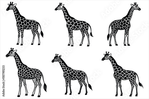 create tall and colorful elegant giraffe vector photo