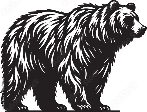 Grizzly Bear Silhouette line art vector illustration on white background