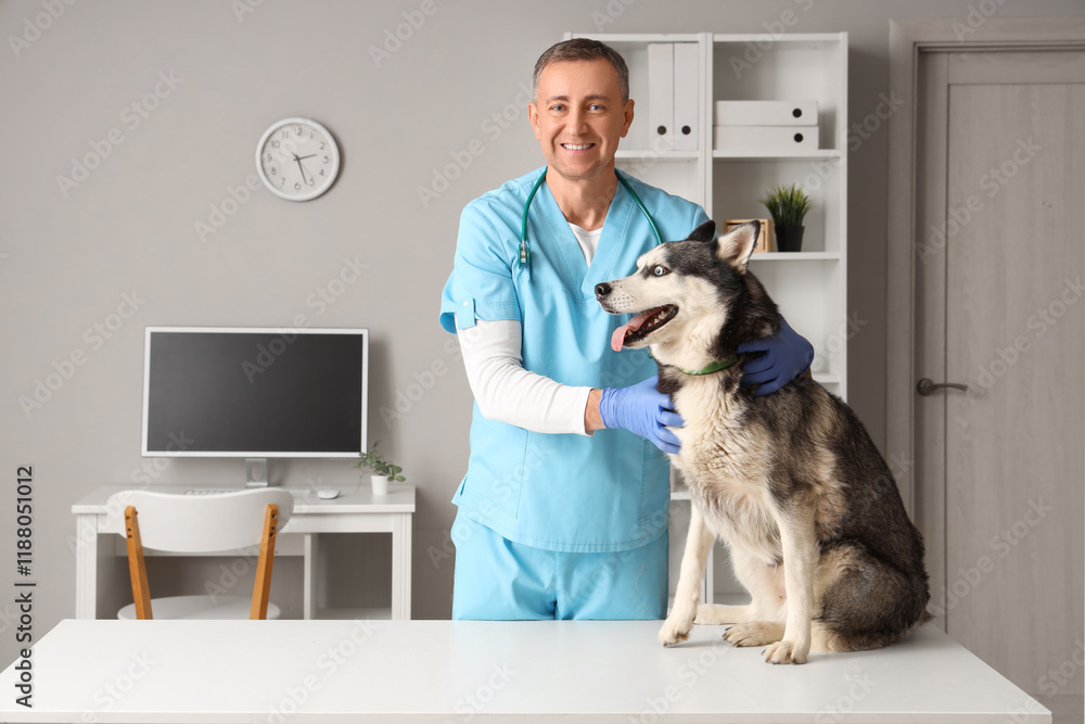 © Pixel-Shot - Male veterinarian examining cute husky dog on table in clinic © Pixel-Shot - Male veterinarian examining cute husky dog on table in clinic