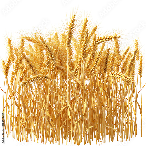 Wallpaper Mural Golden Wheat Field with Ripe Grain Close-Up Harvest Time Realistic Rendering
 Torontodigital.ca