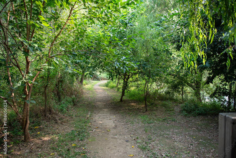 Trees line both sides of a pedestrian walkway. Trees line both sides of a pedestrian walkway.
