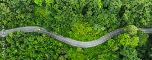 Forest road ,Top view of road in the middle of the forest curve construction up to mountain, panoramic view of Rainforest ecosystem elevated road that surrounds natural forest.