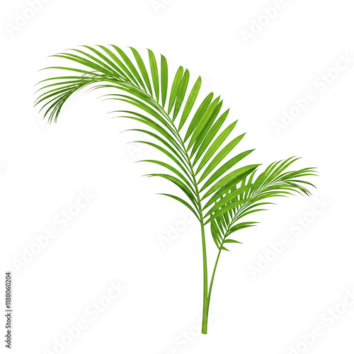 Tropical Palm Frond On Transparent Background Vibrant Green Botanical Illustration
