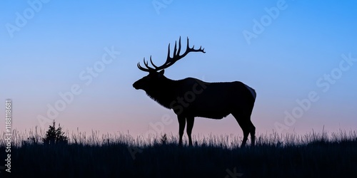 Silhouette of a majestic bull elk against a serene blue sky, capturing the essence of the rocky mountain elk, Cervus canadensis, emphasizing the beauty of this powerful creature. photo