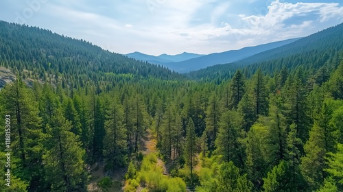 A breathtaking aerial view of a forest landscape captured by a drone showcases the lush trees and natural features.