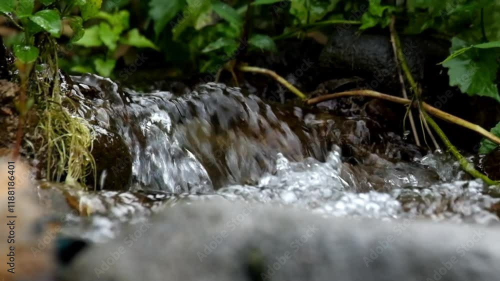 Brook river flow with green grass around.Natural spring water.Concept of nature and environment.Clear and fresh water.Footage 4K,60Fps.Tranquility and relaxation Brook river flow with green grass around.Natural spring water.Concept of nature and environment.Clear and fresh water.Footage 4K,60Fps.Tranquility and relaxation