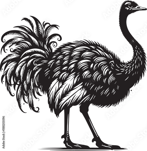 Ostrich Silhouette line art vector illustration on white background