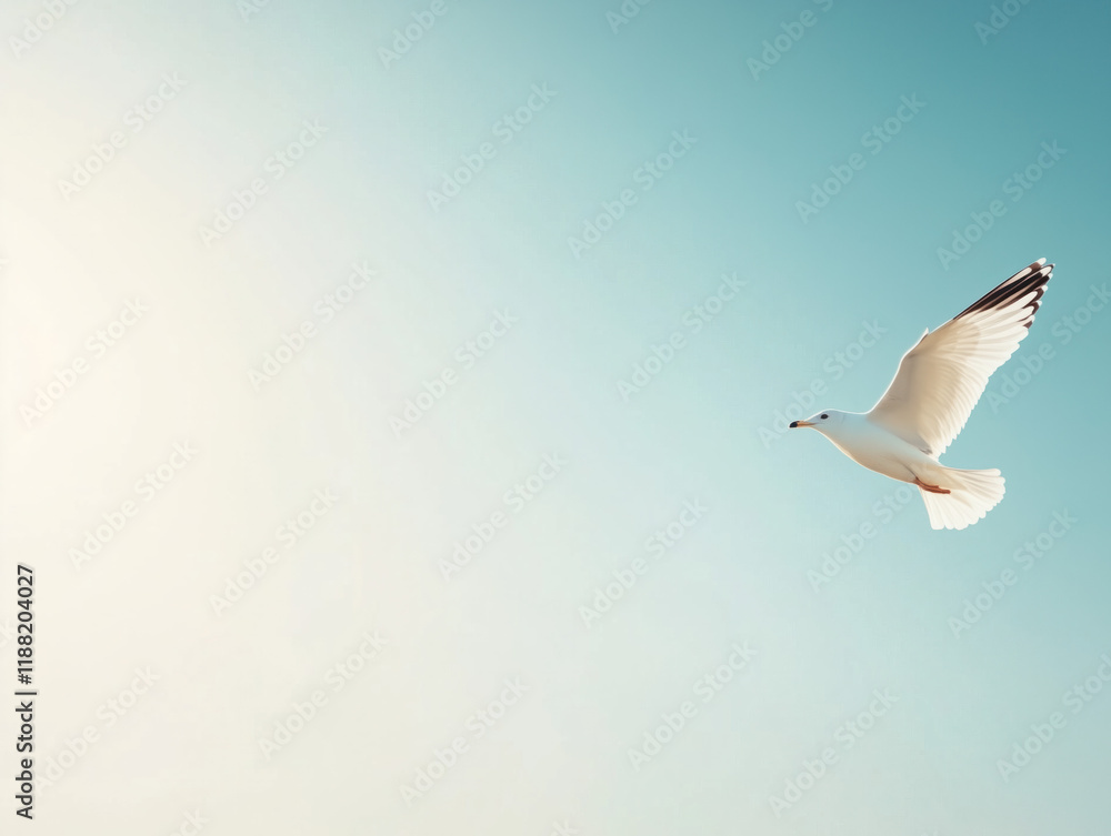 Obraz premium A majestic white seagull soars effortlessly through the sky, its wings spread wide as it skillfully navigates the gentle currents of the wind.