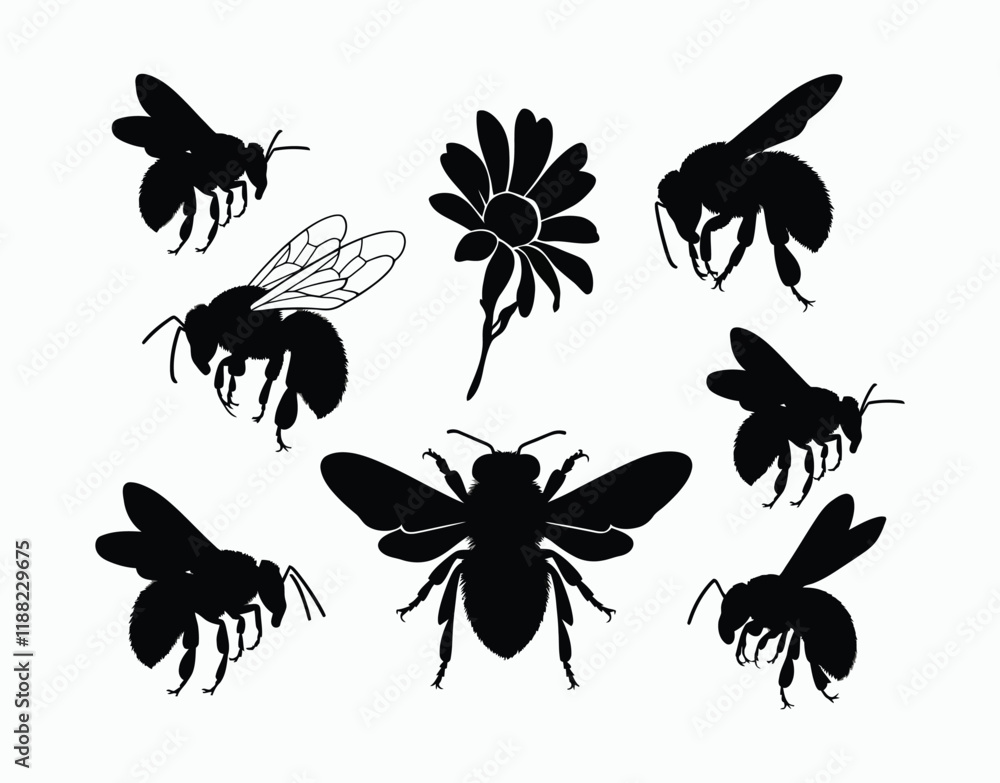 Fototapeta premium Vintage Bee Silhouette Collection Vector Template Art