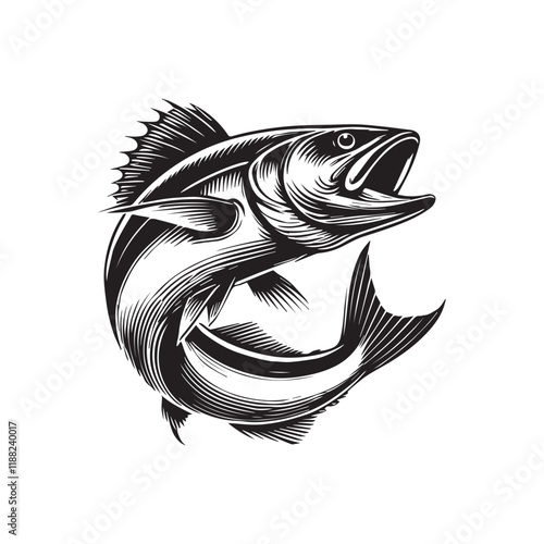 Atlantic Cod fish vector illustration, Sea fish different poses Design
