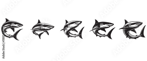 Set of Atlantic Cod fish vector illustration, Sea fish different poses Design
