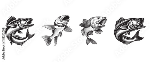 Atlantic Cod fish vector illustration Bundle, Sea fish different poses Design
