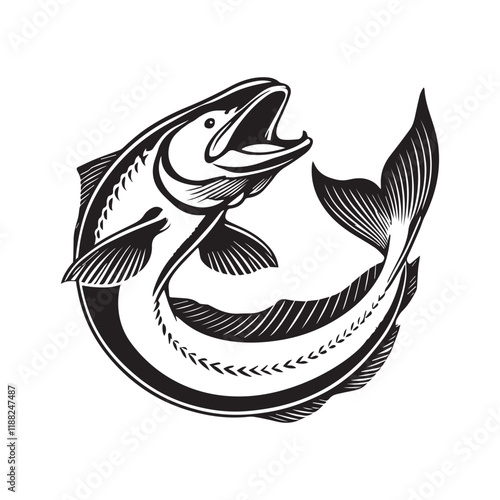 Beluga fish vector illustration, Sea fish different poses Design