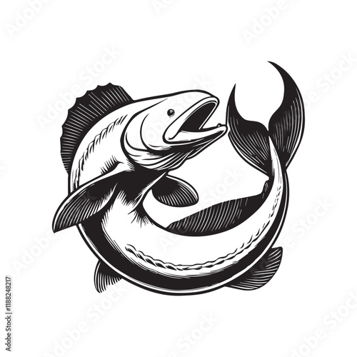 Beluga fish vector illustration, Sea fish different poses Design