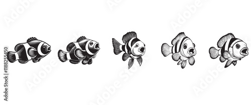 Collection of Clownfish fish vector illustration, Sea fish different poses Design
