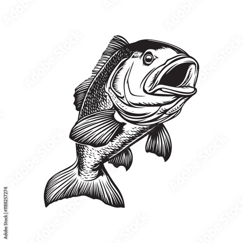 Goliath grouper fish vector illustration, Sea fish different poses Design
