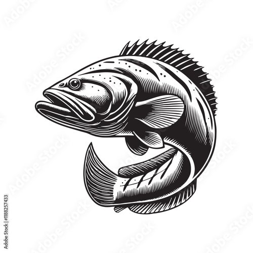 Goliath grouper fish vector illustration, Sea fish different poses Design
