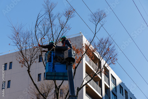 高所作業車に乗って街路樹の手入れをする作業員