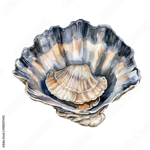 A watercolor vector painting of a giant clam, isolated on a white background. Giant clam vector.

