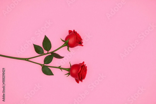 Two artificial red roses against solid pink background