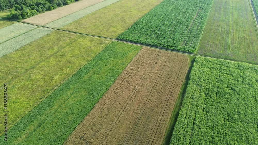 Drone view of rural landscape with fields and forest