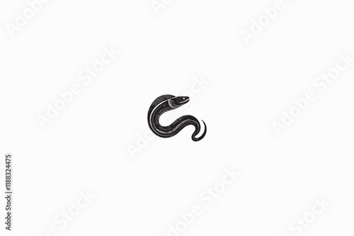 An Eel fish vector silhouette image made by adobe illustrator..eps