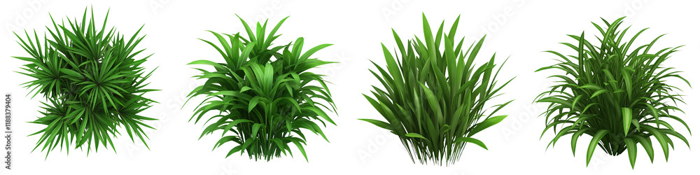 Obraz premium Lush green jungle grass cluster, dense flora, vibrant and natural beauty