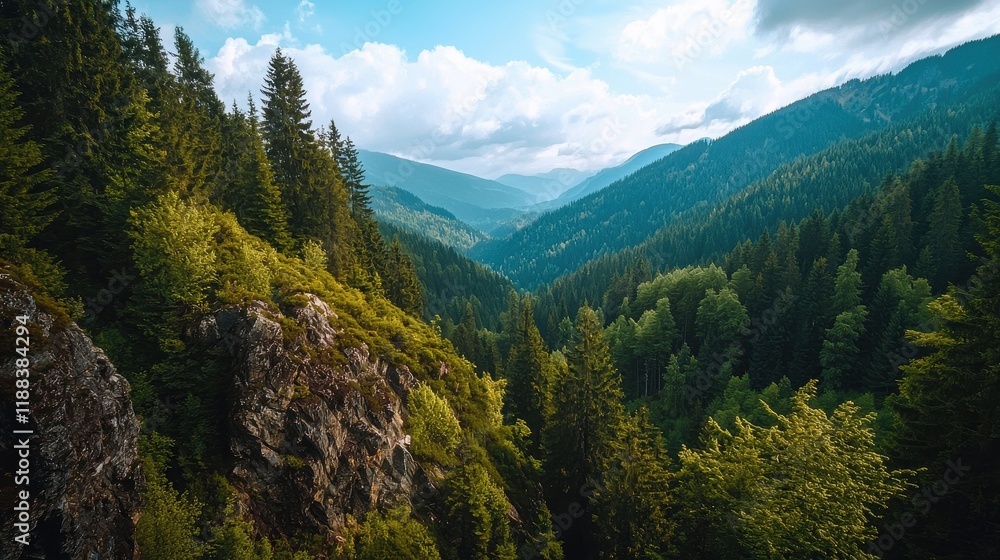 Scenic Nature Setting with Rocky Cliffs and Dense Forest Background Scenic Nature Setting with Rocky Cliffs and Dense Forest Background
