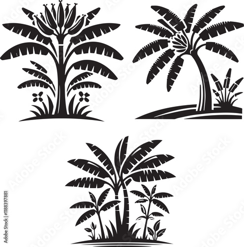 Silhouette of Banana Tree isolated with white background