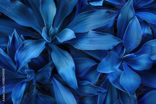 Wallpaper Mural Bold blue nature background with succulent plant detail for wallpaper. Torontodigital.ca