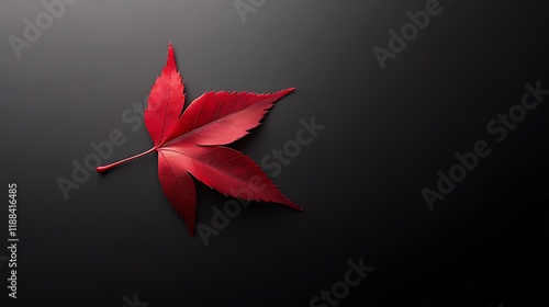 A single bright red leaf lying gently on a solid background, evoking the feeling of autumn.