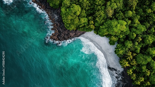 Aerial View of Tropical Paradise Beach Surrounded by Lush Green Forest and Turquoise Sea Waves Crashing on Shore on Sunny Day in Remote Location