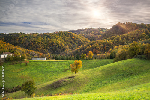 Foliage autunnale appennino